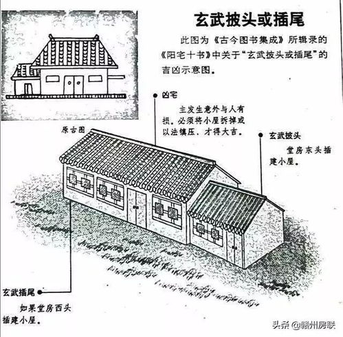从建筑细节到星座配对：怎样做才能让家更健康？