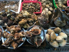 海鲜盛宴：一场充满惊喜（和惊吓）的美食之旅