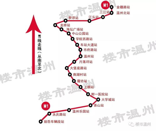温州地铁白菜价的幸福