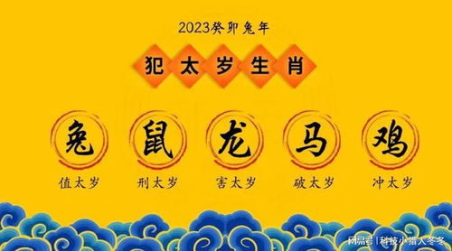 三、与行动呼吁：让你成为2023年的赢家！