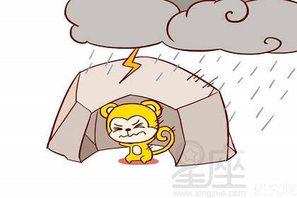属猴的优点和缺点有哪些？1992年属猴女有哪些优点与缺点？
