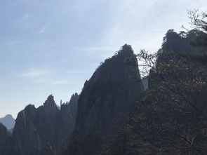第一天：黄山古韵+新潮乱入