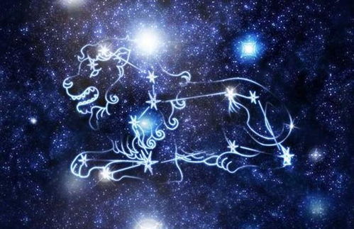 狮子座：霸道总裁爱上我