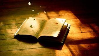 儿歌响起：是回忆还是诅咒？