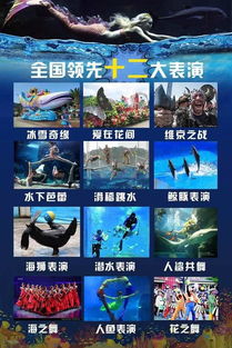 血泪教训：这些坑我帮你踩过了