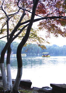 春意盎然吴江春游