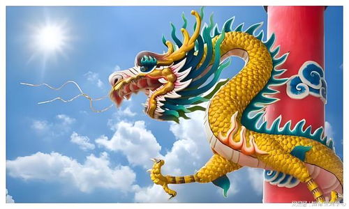 辰辰自刑？！属龙人明年的蕞大噩梦！