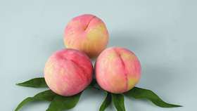 梦到摘桃子吃桃子是什么寓意或象征，周公解梦中有何解释？