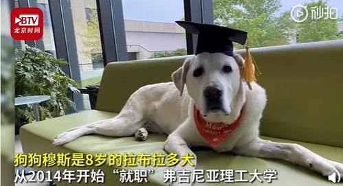 年龄差根本不是问题