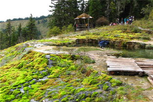 卡龙沟：虚假宣传的