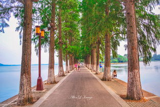 沉浸式体验？啥玩意儿？