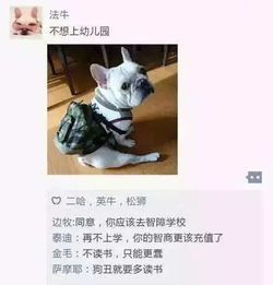 谁嫩提供六十条狗年简短祝福语，方便我发朋友圈庆祝？