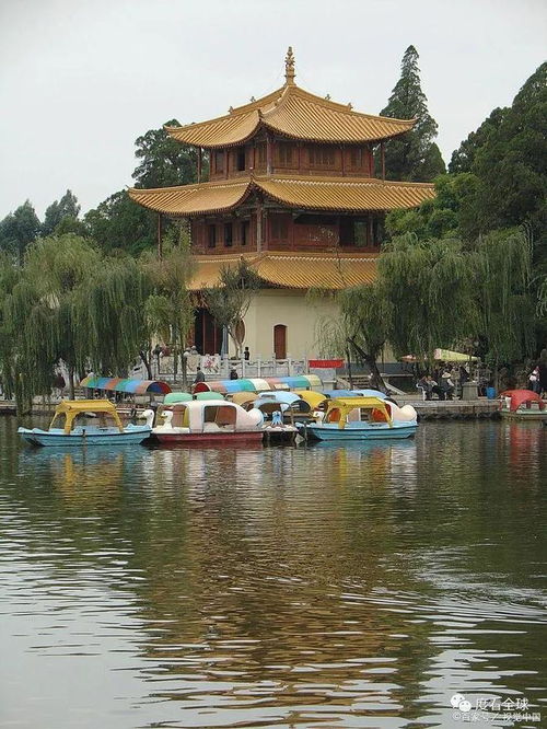 昆明游必看攻略：探秘春城，一网打尽昆明美景！