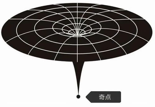 伤官命格是由哪些要素共同构成的？