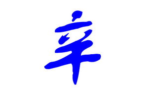 辛姓男孩起名：那啥，别太认真了那个！