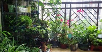 楼顶露天阳台花园风水,楼顶露天阳台怎样封闭为好