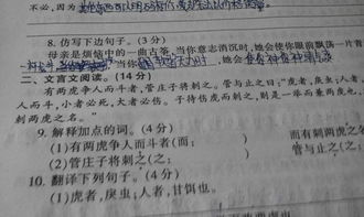 (1) 意类：古文拔河赛