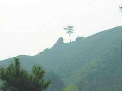 紫禁城选址的风水先生,紫禁城选址的风水先生