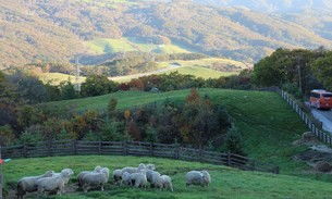 平昌巨大关岭三养牧场：纯净还是寒凉？