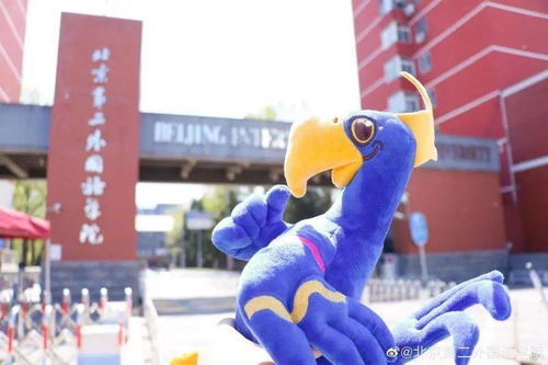 龙蛇鼠兔：这几个生肖有优势