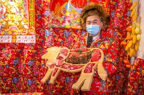 辽宁风情，千年古韵，东北特色，魅力无限