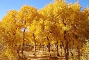 门票价格坑爹指南