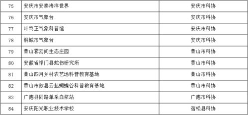 详细检查报告