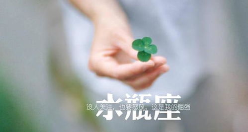 当玻璃心遇上花心大萝卜：那些年属鼠水瓶男折腾过的爱情