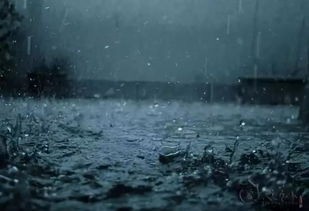 棺材板压不住的玄学力量