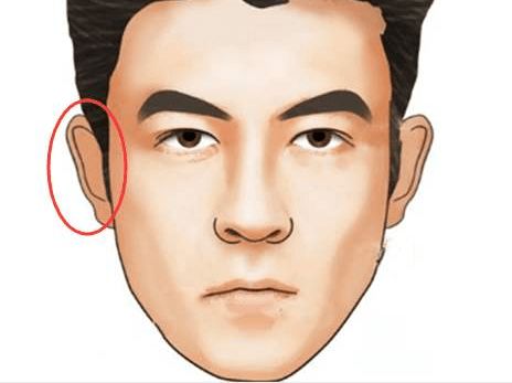 腮帮子大=反骨？2026年最准面相预测