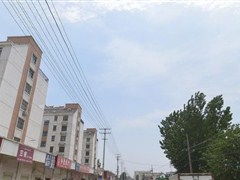 第一站：放射科后面的秘密花园——荷花池里埋着明代镇妖鼎？！