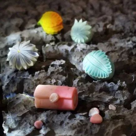探索未知的世界，从这里启动！