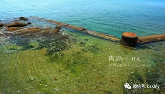实惠的海滨住宿推荐