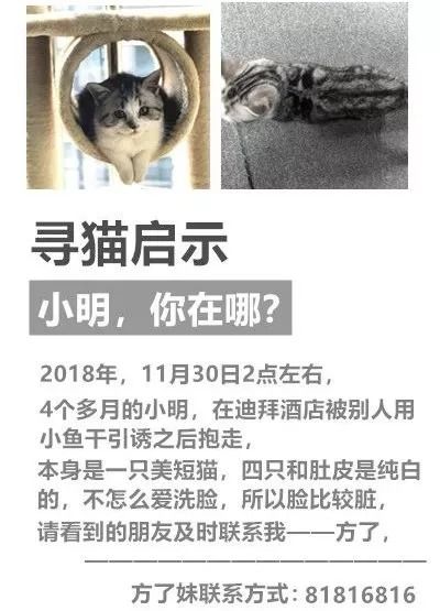 2026年最新破解大法