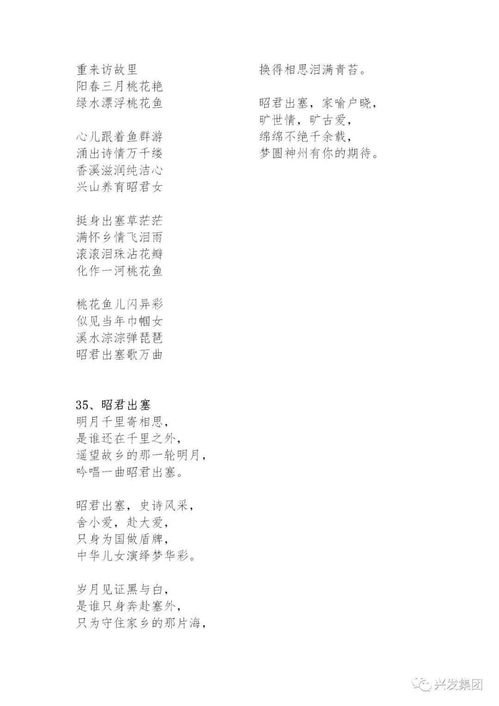 ：悲凉世界中的一抹亮光