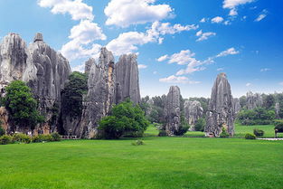 1. 石林：喀斯特地貌的神奇魅力