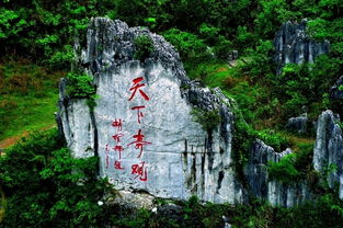 时光的印记， 五亿年的地质奇观