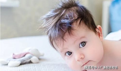 如何为2026年出生的鼠宝宝男孩取一个既传统又新颖的名字？