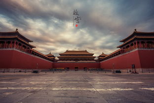 惯与那些视频