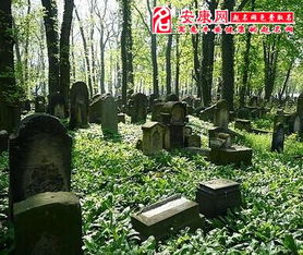 梦见一片墓地财运如何，是吉是凶？