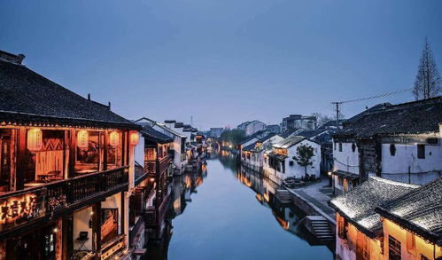 魔幻景点：枯荷败柳才是真顶流