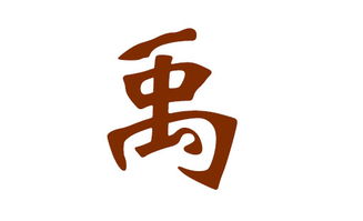 禹字取名是凶是吉？起名用禹字有哪些不宜注意的禁忌？
