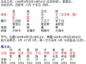 情感共鸣：为了爱我们要相信点什么
