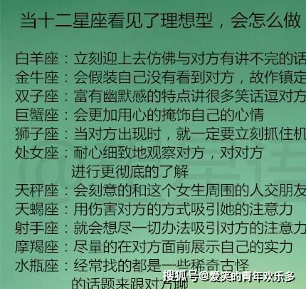 第二梯队：人见人爱型