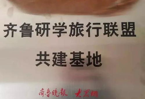 历史的见证？其实是破砖烂瓦的艺术品