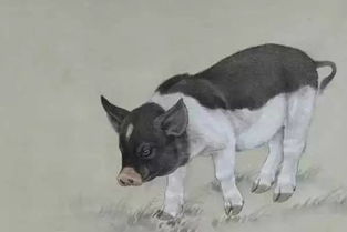 一、 乙亥年属猪人的命格：为哪些你总觉得很累？