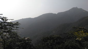 桐柏太白顶， 一个让你欲罢不能的神秘之地