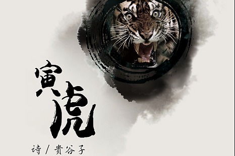 2026年属虎人每月运势具体如何？