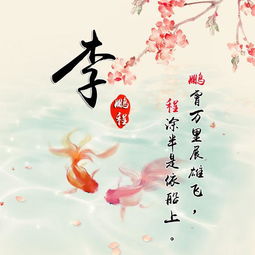 一、 财富有类寓意超强较大组合