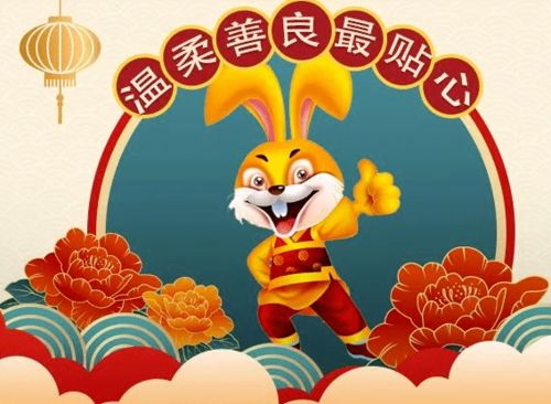 属兔女geng旺家，财富运势如何助力家庭繁荣？